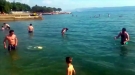European Guys Find Frisbee. What They Do With It Will Make You Facepalm So Hard.