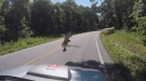 This Has Probably Never Happened To Another Turtle Ever