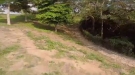 That's Some Fancy Drone Flying