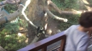 Sneaky Monkey Surprises Little Fella