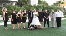 When You Hire A Dog As Ring Bearer