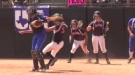 Little Miss Cheap Shot At The Plate