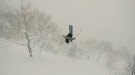 Whenever Skiers Meet Trees, The Trees Win