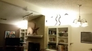 Couple Come Home To Find This In Their Living Room