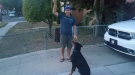 Some Dogs Jump For Treats, Some For Hugs