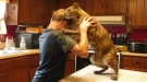 Hugs From Your Pet Are Nice But Not When He Has Giant Claws