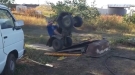 What Happens When Gravity Fights Back