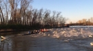 Row Team Gets Attacked By Flying Asian Carp