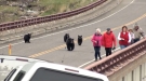 Oblivious Tourists In Yellowstone Confronted By Bear Who Was Protecting Her Cubs