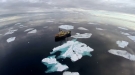 Is There Hope With Global Warming?