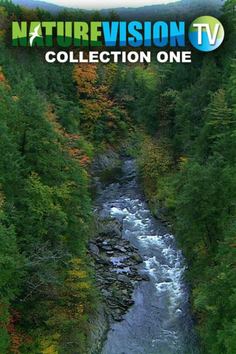 Naturevision TV Live